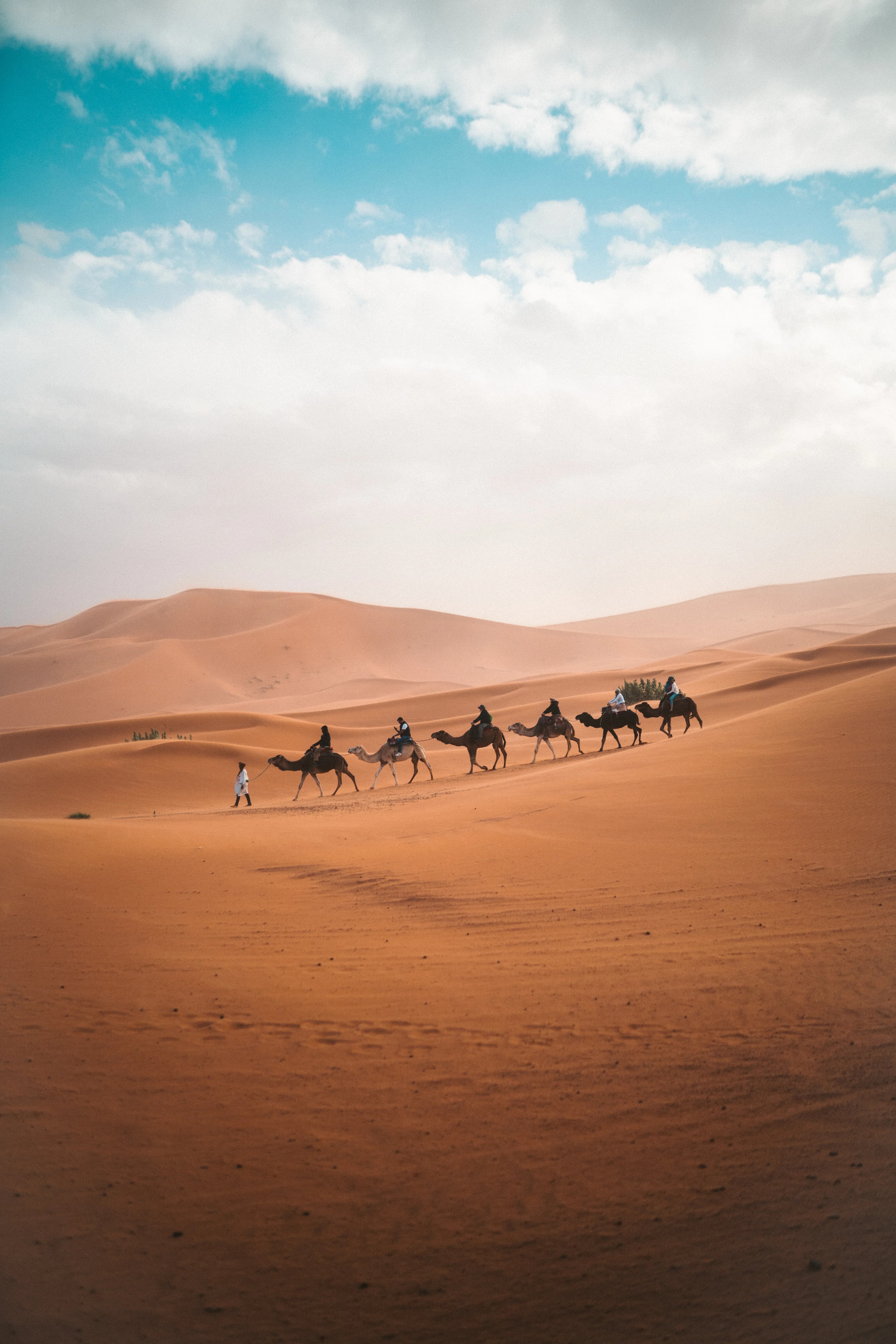 Morocco travel guide — camel ride in the Sahara desert at Erg Chigaga