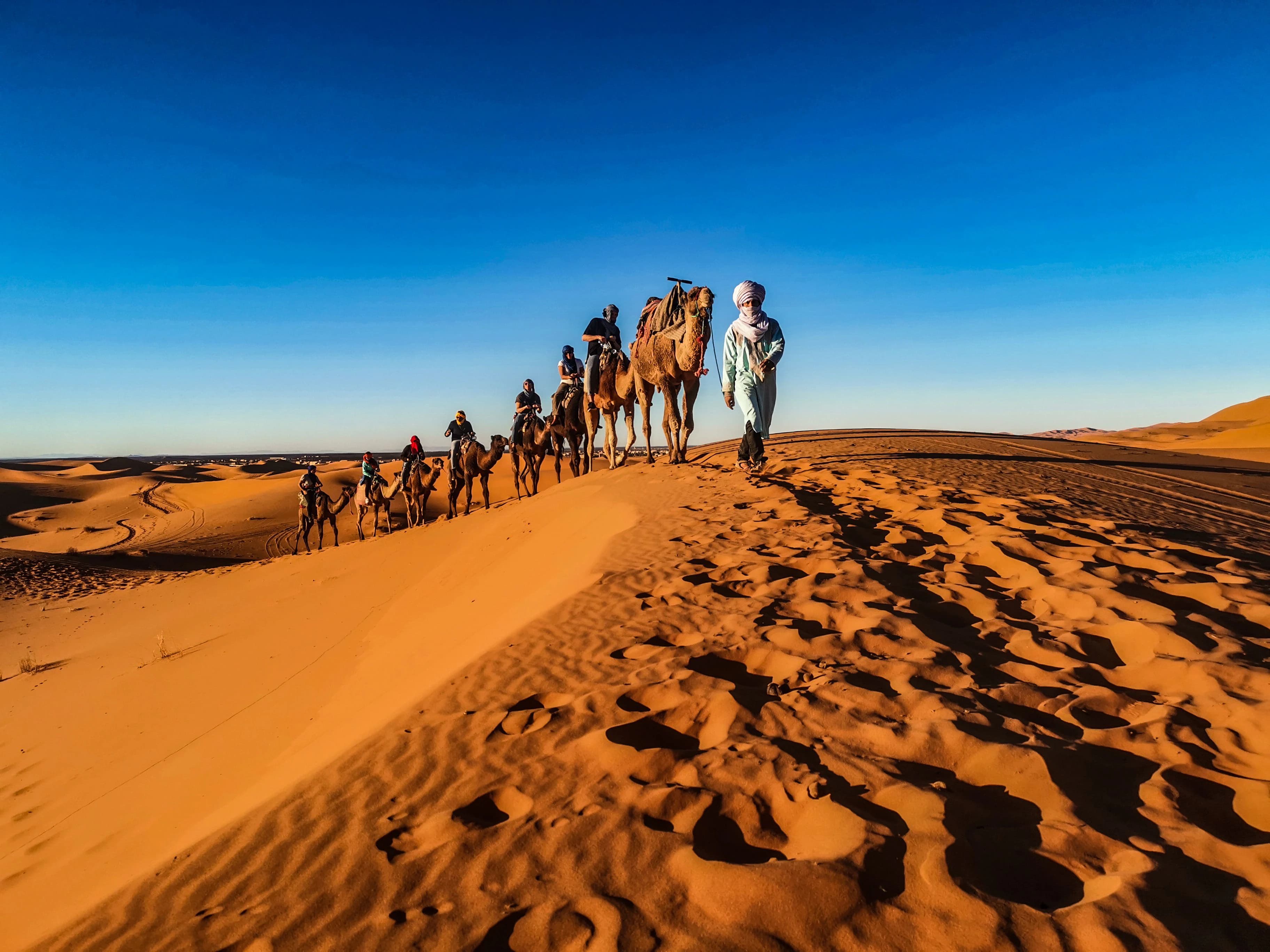 12-Day Morocco Small Group Tour: Sahara, Fes & Chefchaouen